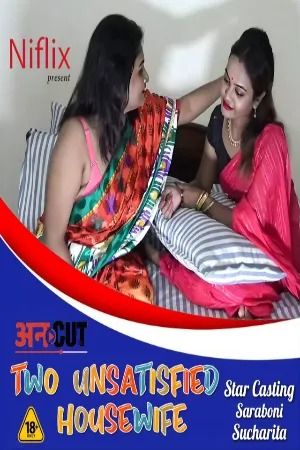 Two Unsatisfied HouseWife (2022) Hindi NiFlix Short Films